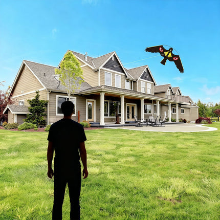 Bird-Repelling Kite Durable for Garden Farm Orchard Crop Pest Bird Control Use