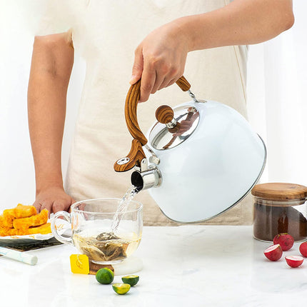 3L Stainless Steel Whistling Kettle Tea Pot For Gas Electric Stove Kitchen Hot