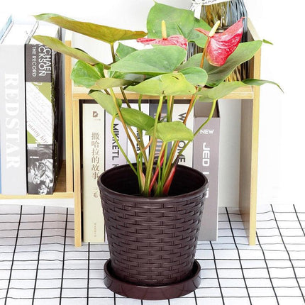 5pcs Bamboo Flower Pot Indoor Round Planter with Drainage Tray Garden Decor