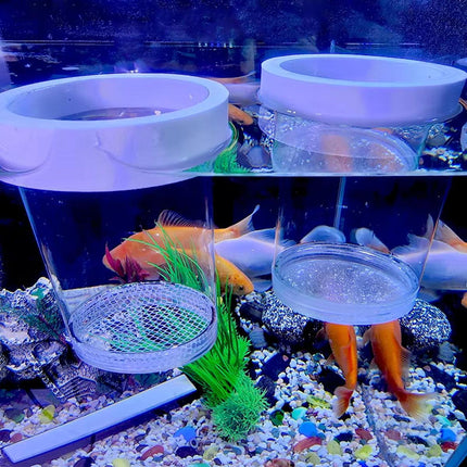 Floating Fish Breeding Hatchery Isolation Box for Fry and Shrimp in Aquarium