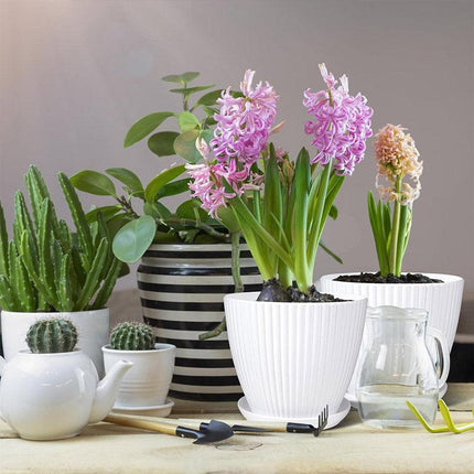 6PCS Simple Plastic Round Plant Pots Vertical Stripes Flower Pot Green Gardening