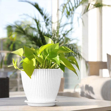 6PCS Simple Plastic Round Plant Pots Vertical Stripes Flower Pot Green Gardening