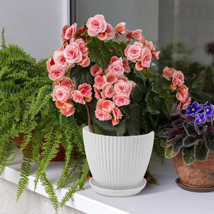 6PCS Simple Plastic Round Plant Pots Vertical Stripes Flower Pot Green Gardening