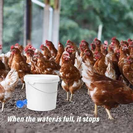 6pcs Chicken Drinking Bowl Poultry Waterer Feeder Automatic Drinking Cups Coop
