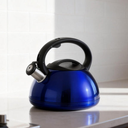 Stainless Steel Whistling Kettle Induction Heat Resistant Handle Home Tea Pot