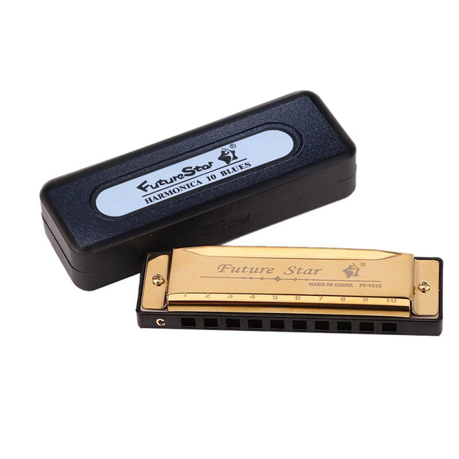 Harmonica 10 Holes Key Of C Blue Blues Harp Stainless Steel Brass