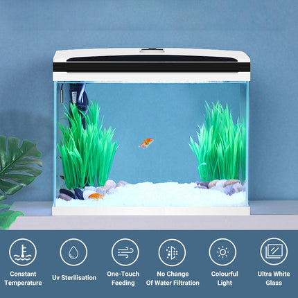 Intelligent Desktop Fish Tank Small Aquarium for Living Room Household Use