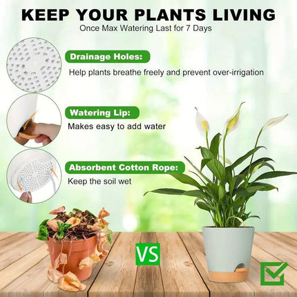 5pcs Self Watering Planter Desktop Plastic Round Planter Auto Suction Lazy Pot