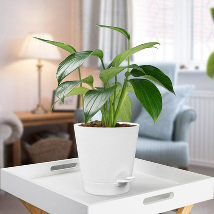 5pcs Self Watering Planter Desktop Plastic Round Planter Auto Suction Lazy Pot