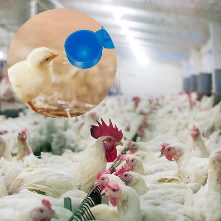 6pcs Chicken Drinking Bowl Poultry Waterer Feeder Automatic Drinking Cups Coop