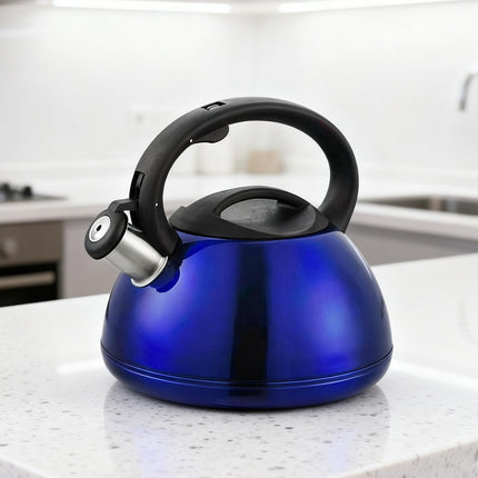 Stainless Steel Whistling Kettle Induction Heat Resistant Handle Home Tea Pot