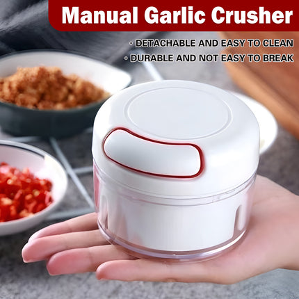 Home Mini Manual Garlic Beater Mincer Chili Ginger Meat Mash Food Prep Tool