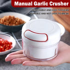 Home Mini Manual Garlic Beater Mincer Chili Ginger Meat Mash Food Prep Tool