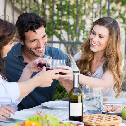 2PCS Portable Wine Decanter Dispenser Aerator Bottle Pourer Set for Party Travel