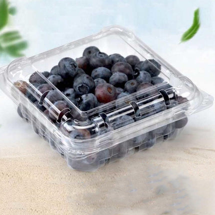 100pcs Transparent Plastic Fruit Box with Tape Cover Storage Packaging for Fruit
