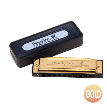 Harmonica 10 Holes Key Of C Blue Blues Harp Stainless Steel Brass