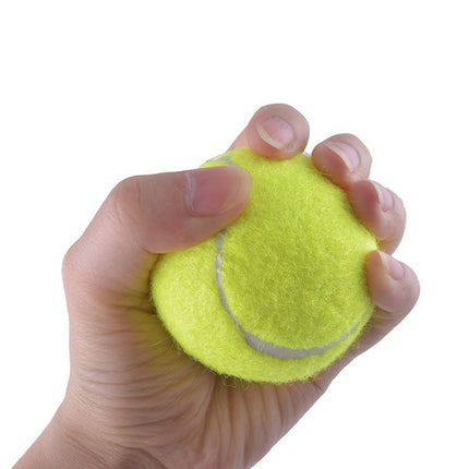 Tennis Trainer Rebound Ball Solo Practice Tool For Beginners And All Ages