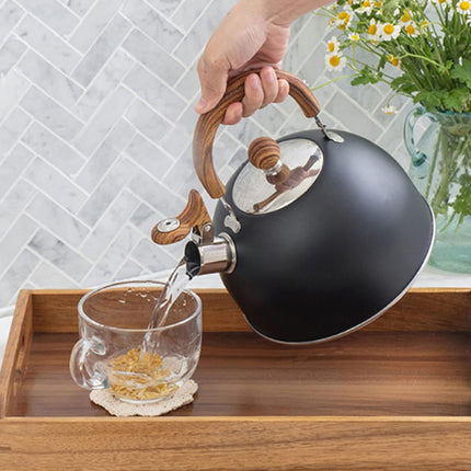2.5L Matte Black Whistling Kettle Foldable Handle Stainless Steel Gas Electric