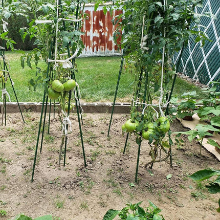 Garden Plant Support Stakes 120cm 36pcs or 180cm 12pcs