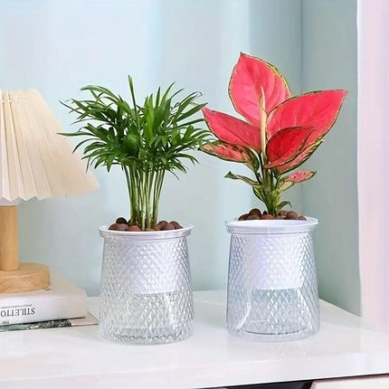 4PCS Self Absorbing Lazy Hydroponic Planter Plastic Indoor Plant Pots Gardening
