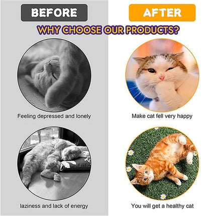 Cat Tunnel Toy Set Collapsible Cat Tube with Teaser Wand Feather Toy Indoor Play