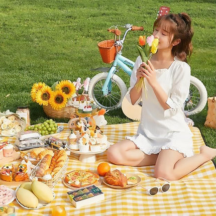 Waterproof Picnic Mat Outdoor Camping Thickened Beach Blanket Spring Outing Use