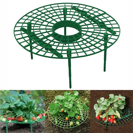 Strawberry Planting Shelf Garden Tools Vegetable Cultivation Rack Potted Stand