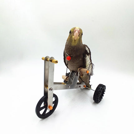 Parrot Training Bicycle Toy Parrot Exercise Bicycle Toy for Birds Fun Activity