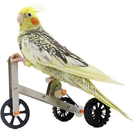 Parrot Training Bicycle Toy Parrot Exercise Bicycle Toy for Birds Fun Activity