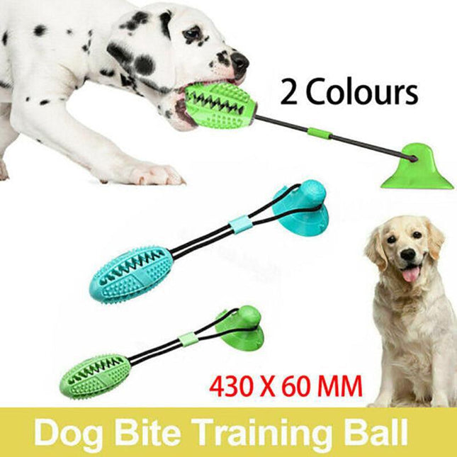 Pet Molar Bite Toy Multifunction Floor Suction Cup Dog Balls Interactive Puppyau - Aimall