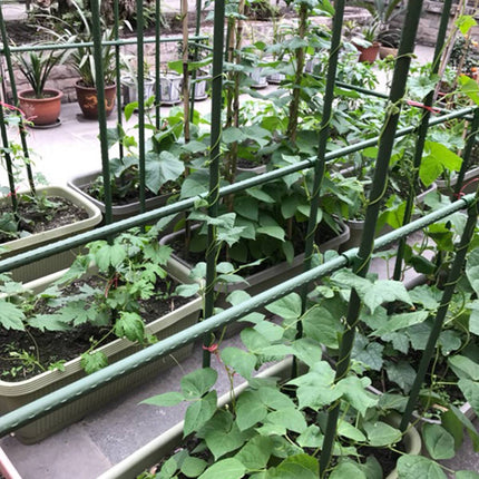 Garden Plant Support Stakes 120cm 36pcs or 180cm 12pcs