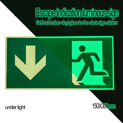 Glow in the Dark Exit Sign Stickers 10 Pack 30x15cm