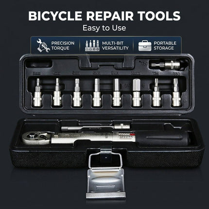 Bike Hand 1/4 Inch Torque Wrench Set 2 to 24Nm