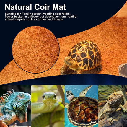 4 PCS Non-Slip Mat Coconut Palm Pet Garden Turtle Matpet Mat Blueberry Mat