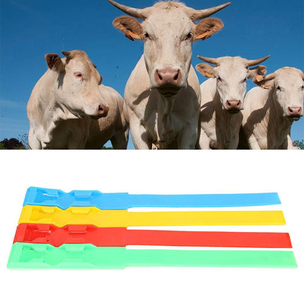 Cow Identification Bands 20PCS Adjustable Foot Rings Multi Colour Tags Livestock