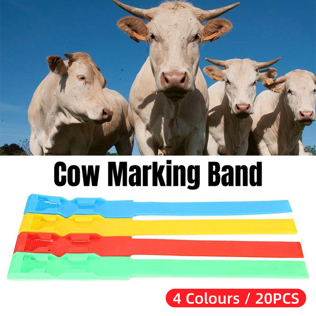 Cow Identification Bands 20PCS Adjustable Foot Rings Multi Colour Tags Livestock