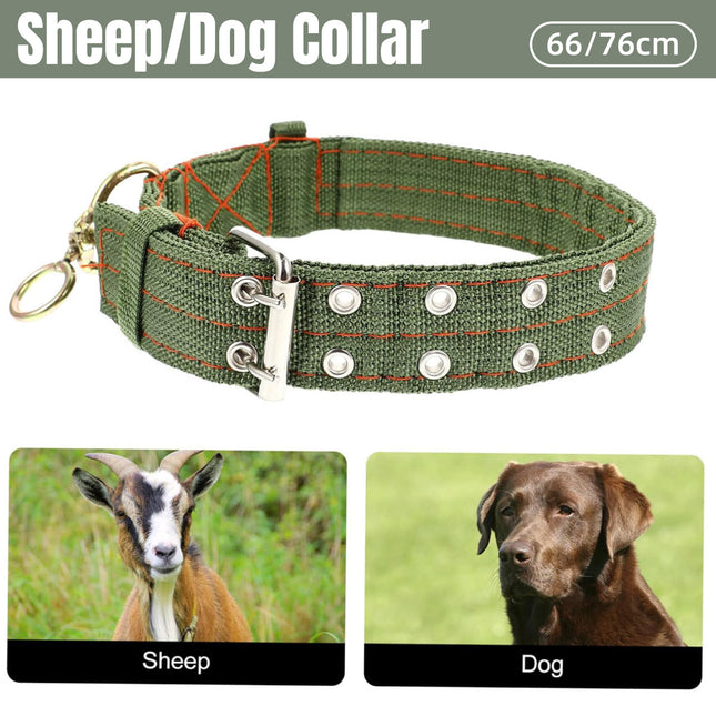 Sheep Dog Collar Adjustable Strap Comfortable Neck Belt Pet Livestock Control