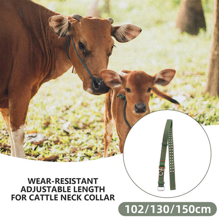 Cattle Neck Strap Adjustable Buckle Design Durable Restraint Collar Belt Tool