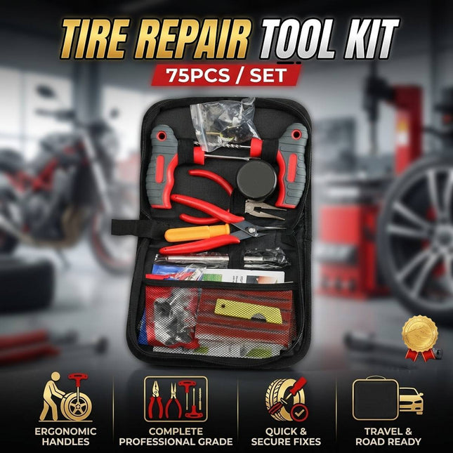 75 Piece Tubeless Tire Repair Tool Kit in Case