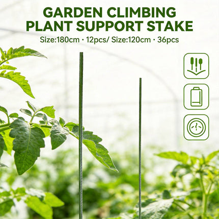 Garden Plant Support Stakes 120cm 36pcs or 180cm 12pcs