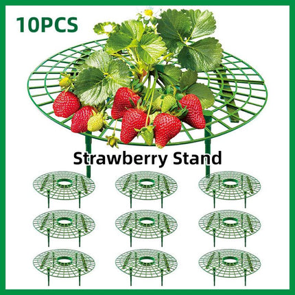Strawberry Planting Shelf Garden Tools Vegetable Cultivation Rack Potted Stand