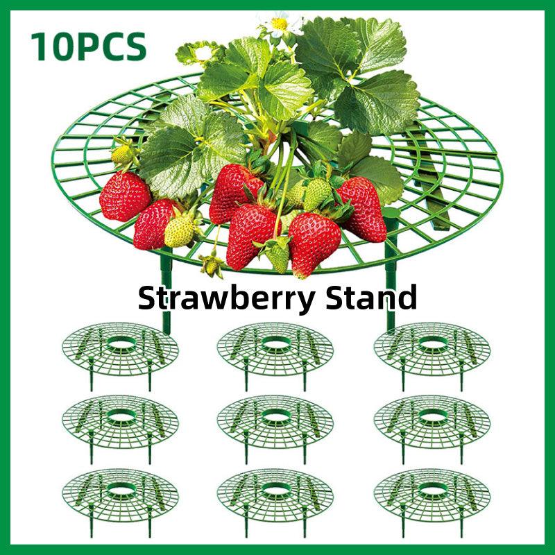 strawberry planting rack Strawberry Planting Shelf Garden Tools Vegetable Cultivation Rack Pott – Aimall