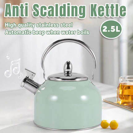 Stainless Steel Kettle 2.5L Household Water Boiler Anti Scalding Tea Pot Durable