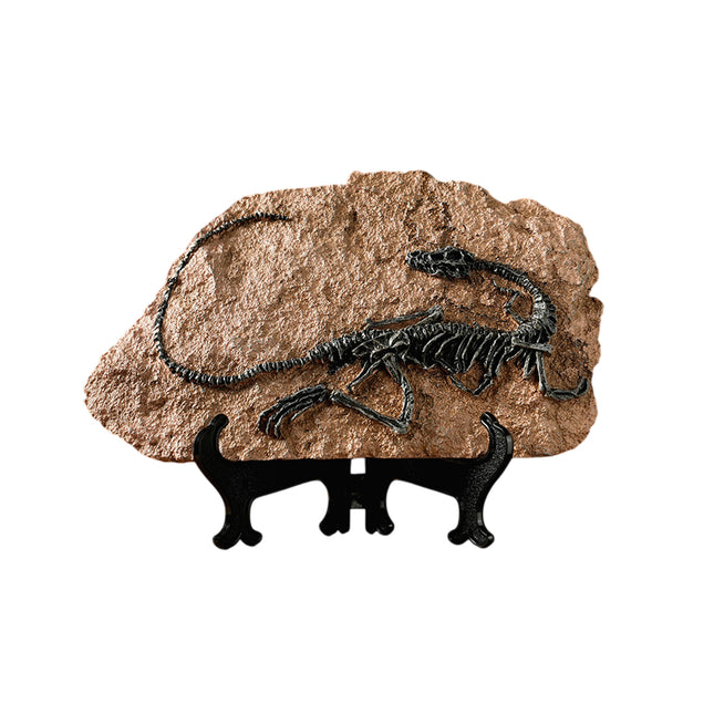 Creative Dinosaur Fossil Resin Craft Decoration Simulation Style for Home Decor
