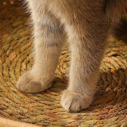 Cat Bed Cat Scratch Board Rattan Woven Pet Bed for Cat Comfortable Pet Furniture