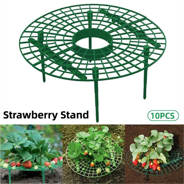 Strawberry Planting Shelf Garden Tools Vegetable Cultivation Rack Potted Stand