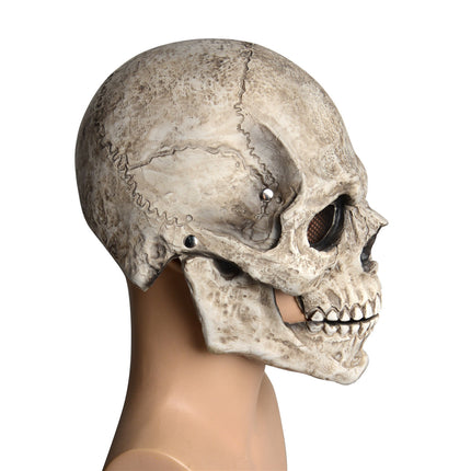 Realistic Latex Skull Halloween Mask with Movable Jaw - Costume Party Wear