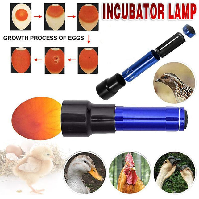 Super Bright Egg Candler Tester Incubator Lamp Light Dark Hatching Eggs Candling - Aimall