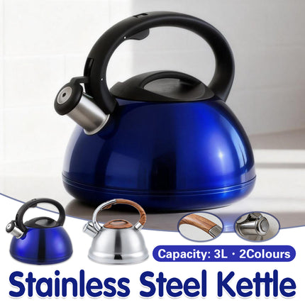 Stainless Steel Whistling Kettle Induction Heat Resistant Handle Home Tea Pot