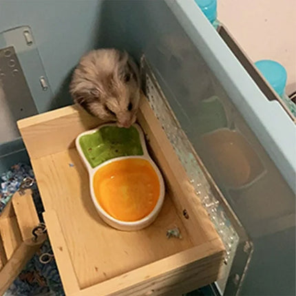 Carrot Pet Food Bowl Double Compartment Feeding Dish for Small Animals Cute
